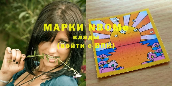прущие грибы Пересвет